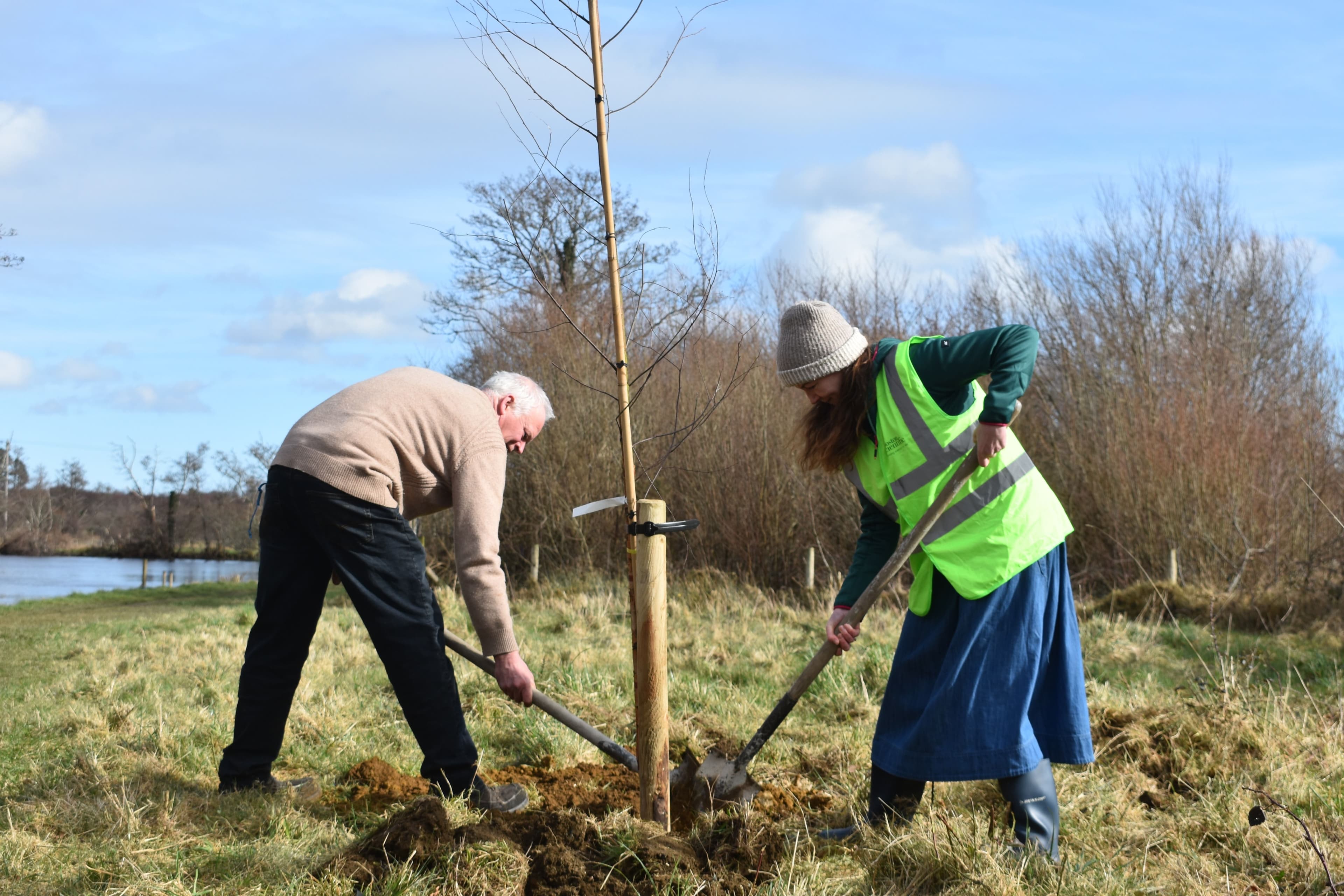 Tree planting